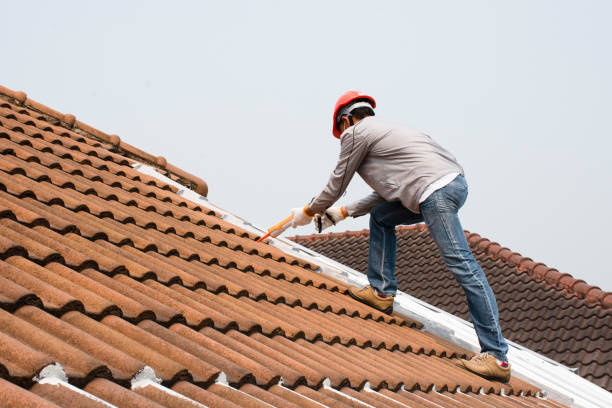 Best Roof Insulation Installation  in Clearlake, CA